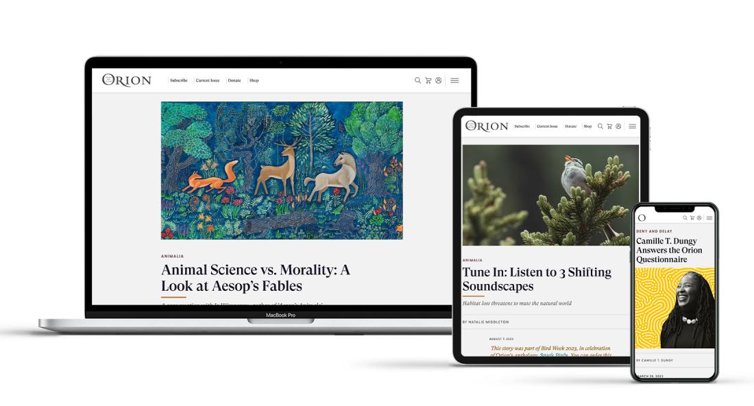 Orion Magazine on desktop, tablet and mobile